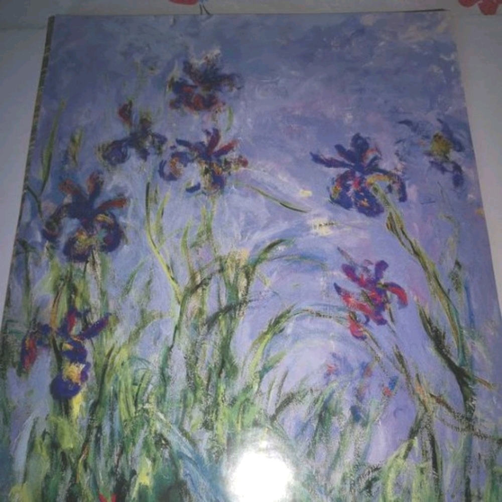 Poster - Water Lilies -Unframed